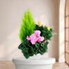 Dracaena Sobre — fleurs de deuil livrees a Paris